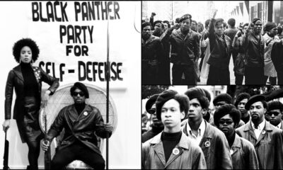 History Of The Black Panther Party - Facing Police Brutality And Advocating Social Change