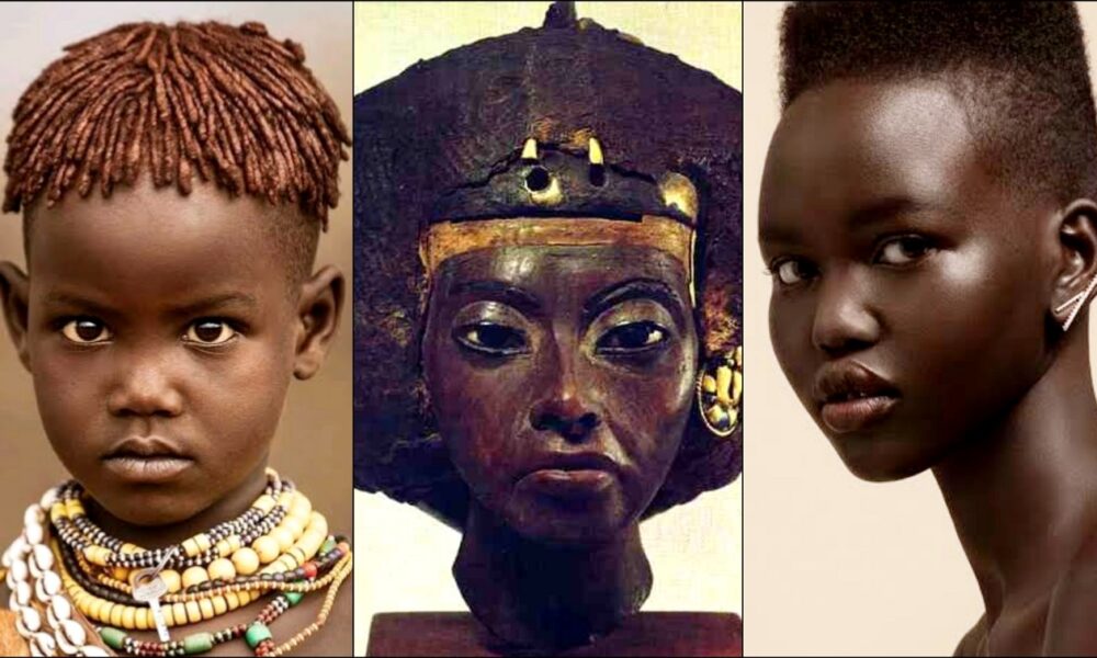Africans Are BLACK People – Never Let Caucasian Definitions Influence Your Understanding Of Who You Are