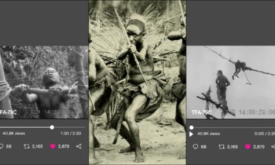 How Bridges Were Built Over Crocodile Infested Rivers By African Pygmies In Central Africa In The1930s Video