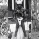 The British Igbo War That Lasted For 31 years The Ekumeku Movement