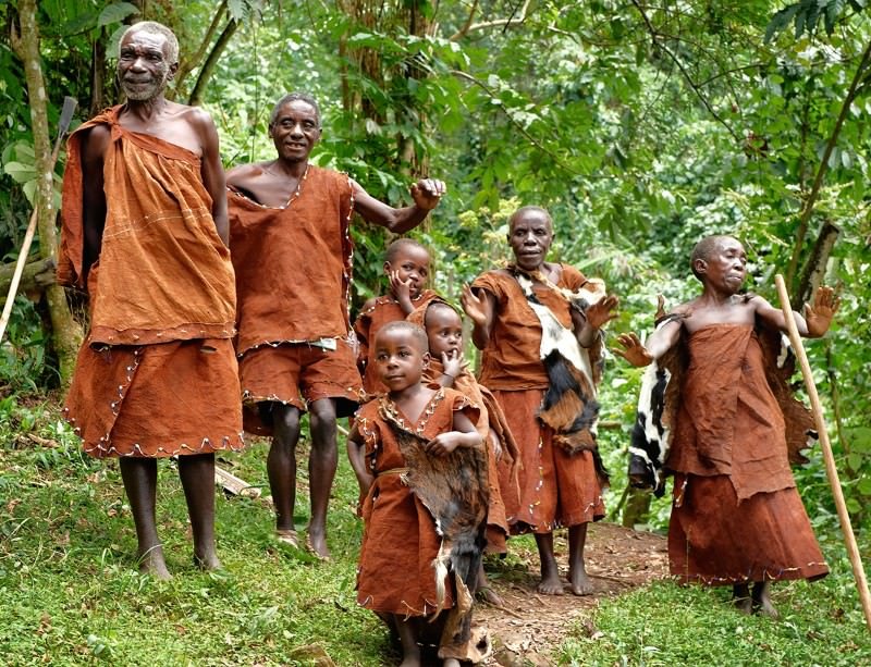 The Current Twa Pygmies Of Africa | Liberty Writers Africa