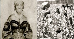 Meet Harriet Russell Who Went From Slavery To Real Estate Entrepreneur In 19th-Century California