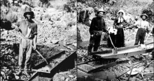 History Of The African Americans Who Participated In The California Gold Rush (1848-1860)